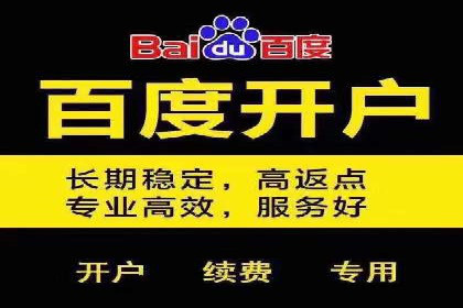 详解百度推广开户：成功案例带你入门